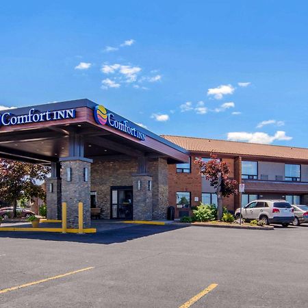 Comfort Inn Saint Catharines Экстерьер фото