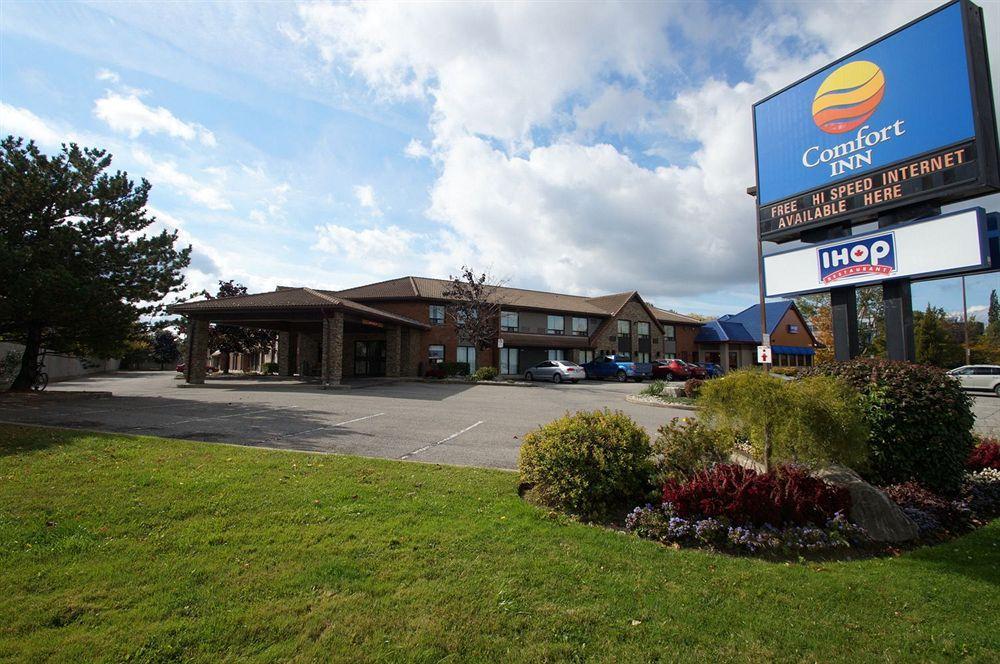 Comfort Inn Saint Catharines Экстерьер фото